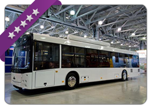 reklamiranje dizajn vozila
                                        Beograd